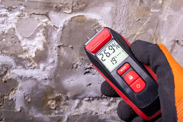Best Mold Removal Near Me  in Kettle Falls, WA