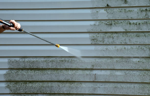 Best Black Mold Removal  in Kettle Falls, WA