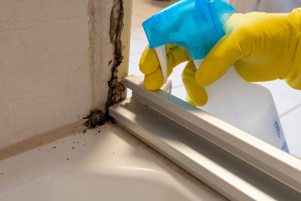 Best Crawl Space Mold Removal  in Kettle Falls, WA